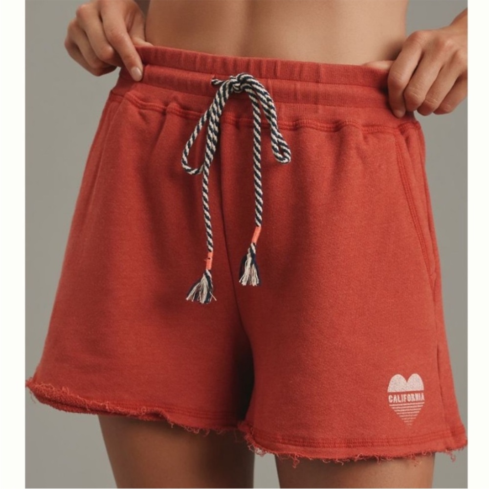 Sundry California shorts NWT